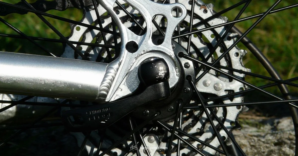 Indexed Shifting - BicycleCost