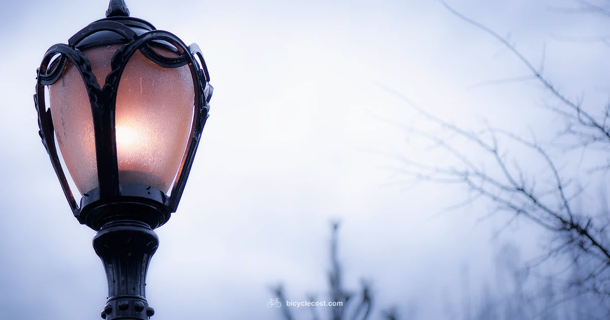 Bike Lights Laws - BicycleCost