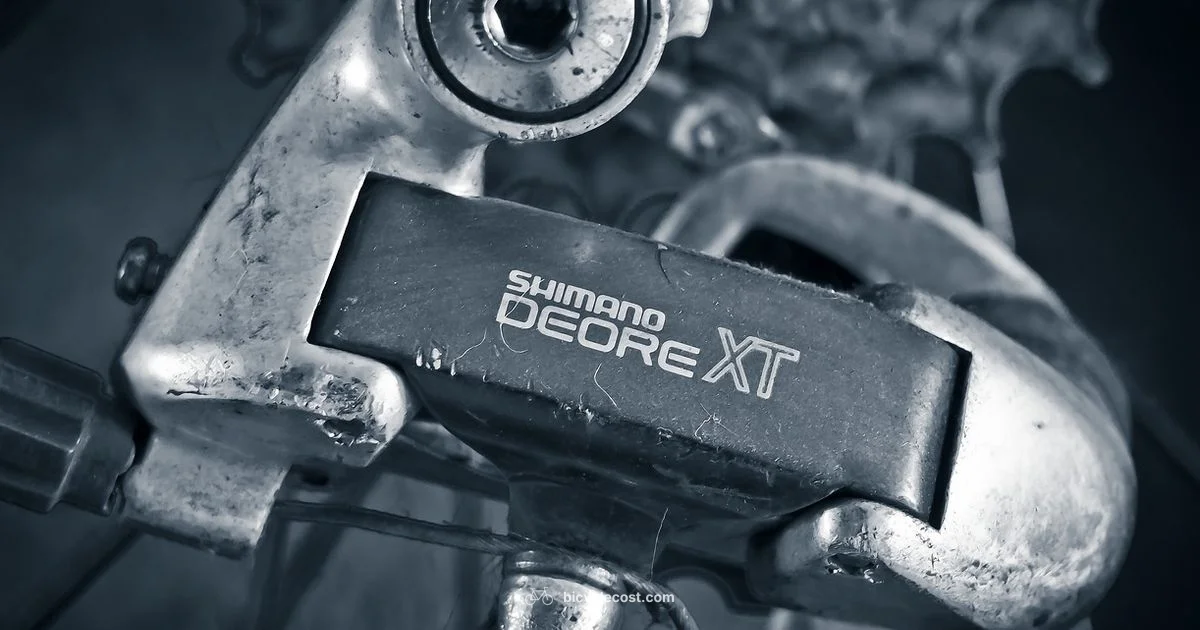 Clutchless Drivetrain - BicycleCost