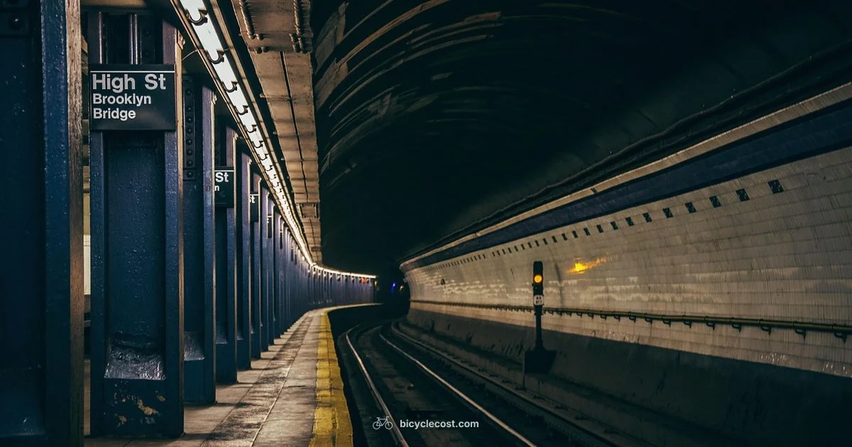 Bike vs Car - BicycleCost