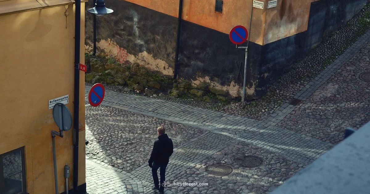 Bicycle History Overview - BicycleCost