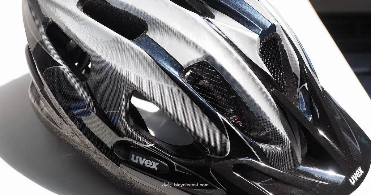 Helmet Safety Guide - BicycleCost