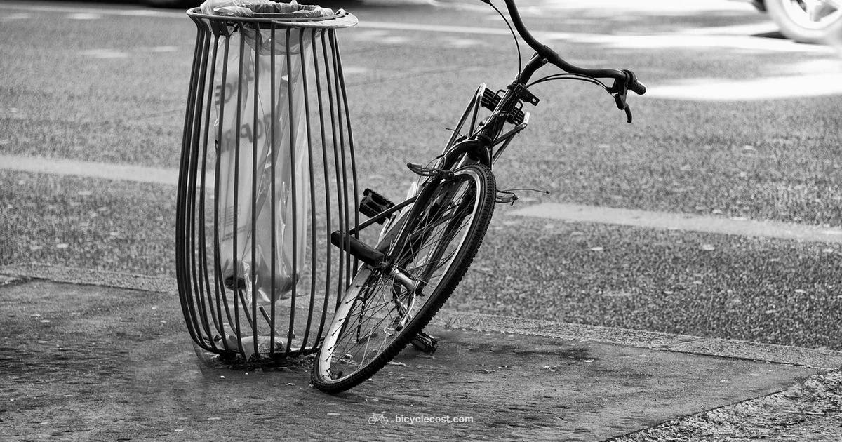 Electric Bicycles 101 - BicycleCost