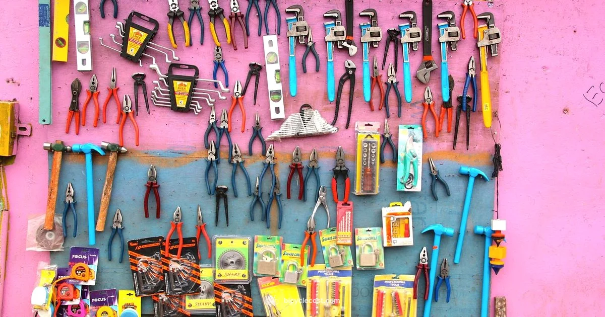 Electric Conversion Guide - BicycleCost