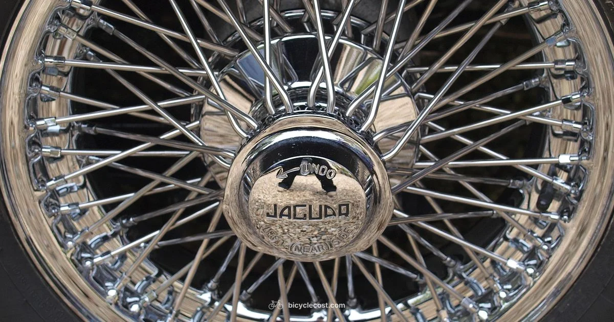 Bike Hub Essentials - BicycleCost