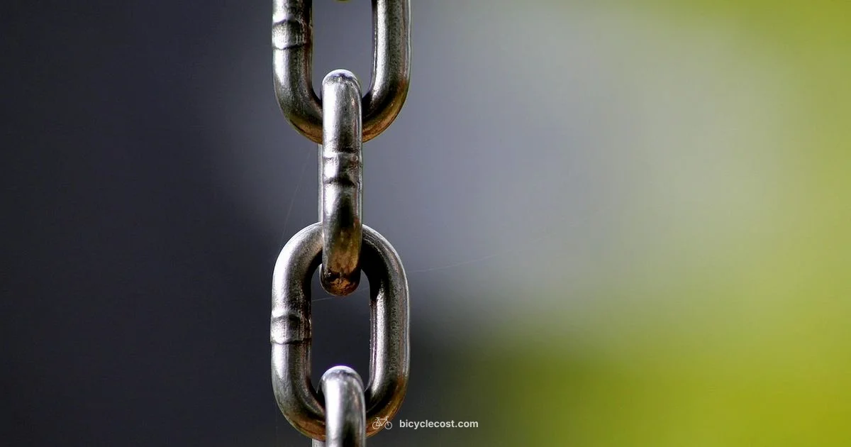 Chain Essentials - BicycleCost