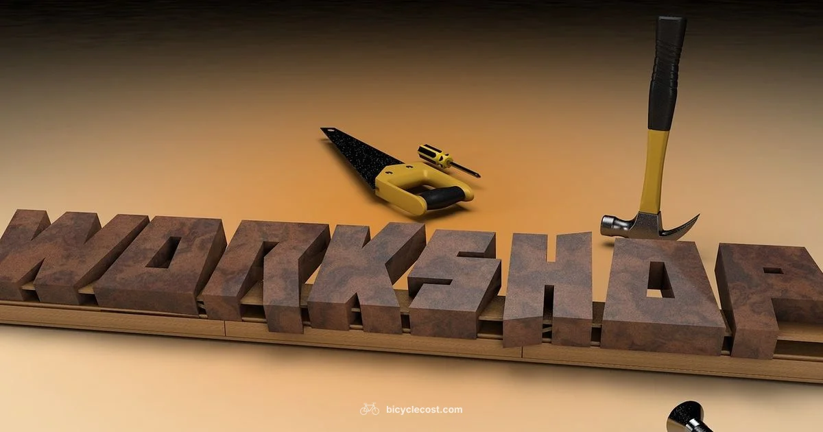 Bicy Basics - BicycleCost