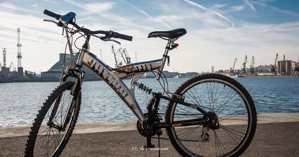 Cardio Cycling - BicycleCost