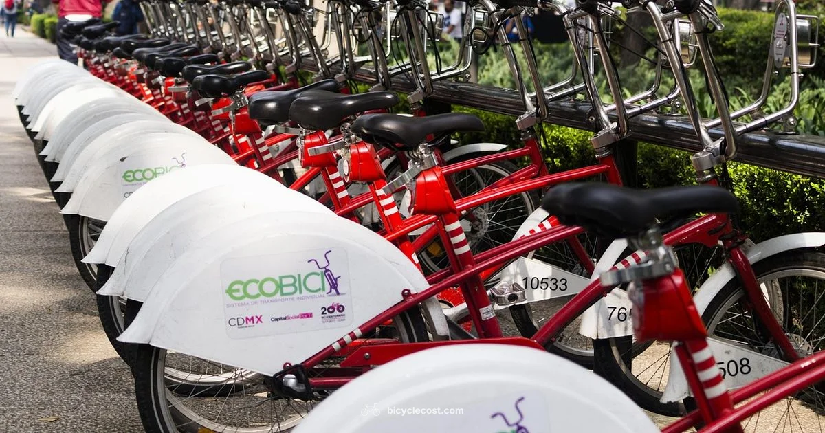 Smart Bike Investment - BicycleCost