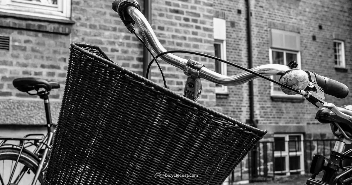 Wheel Basics for Bikes - BicycleCost