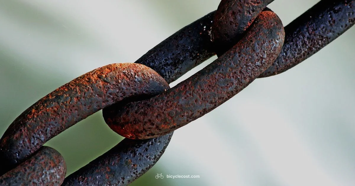 Rust-Proof Chain - BicycleCost