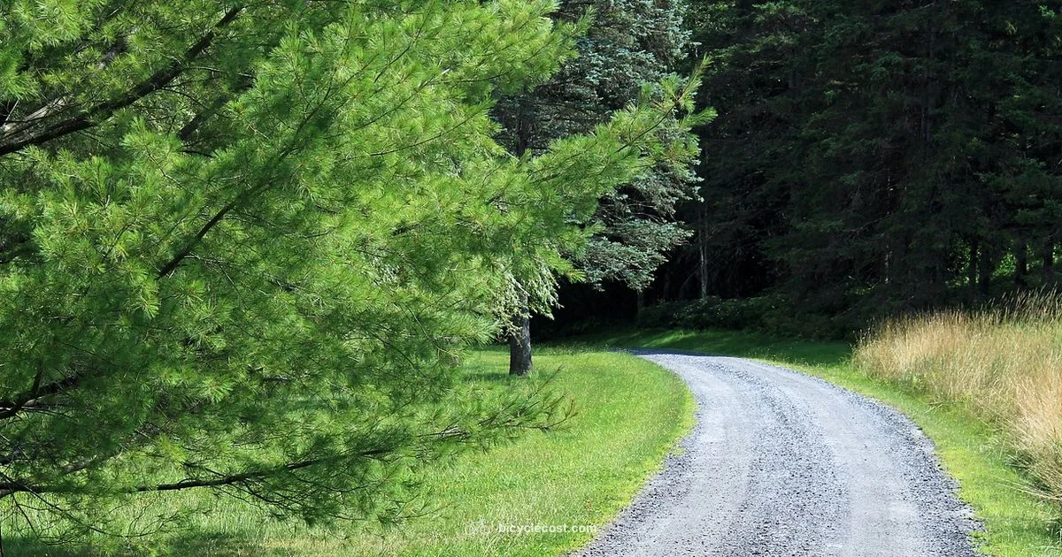 Rockrider Cycle Guide - BicycleCost