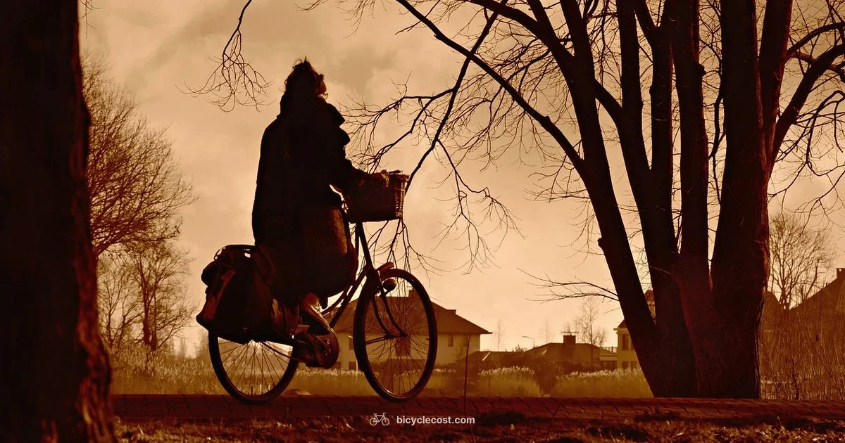 Pregnant Cycling Safety - BicycleCost