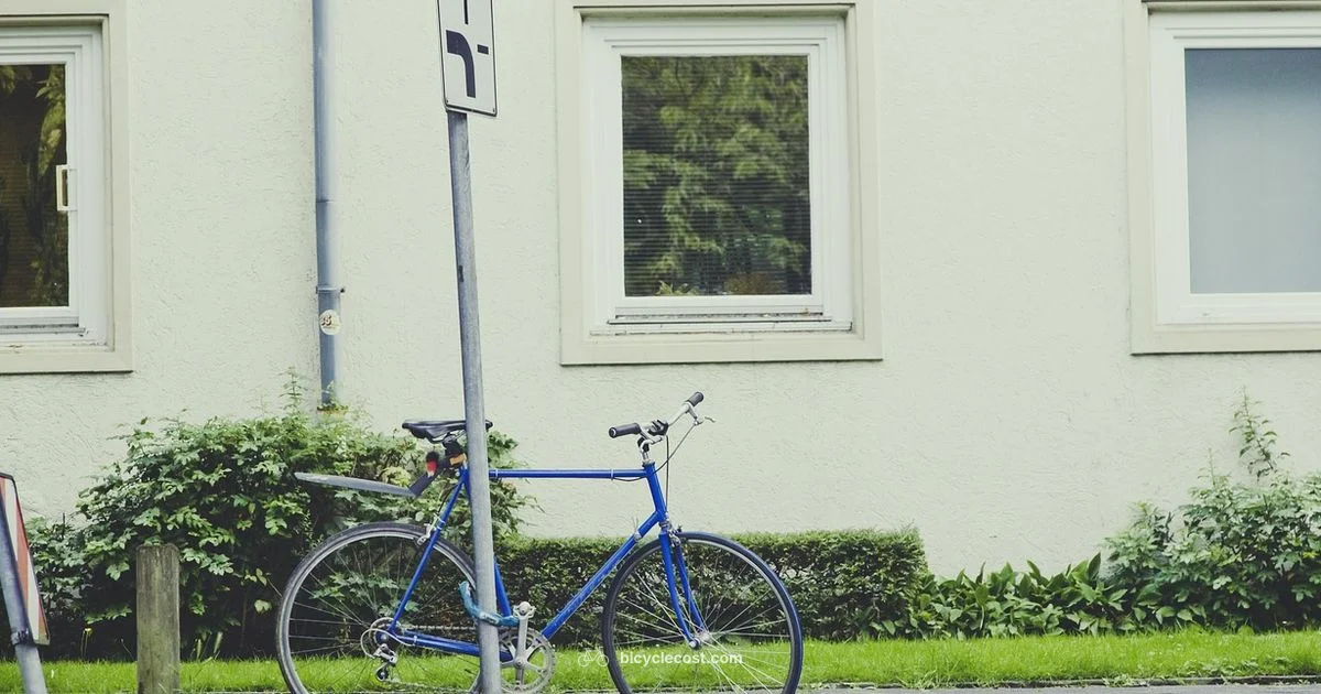 U Lock Essentials - BicycleCost