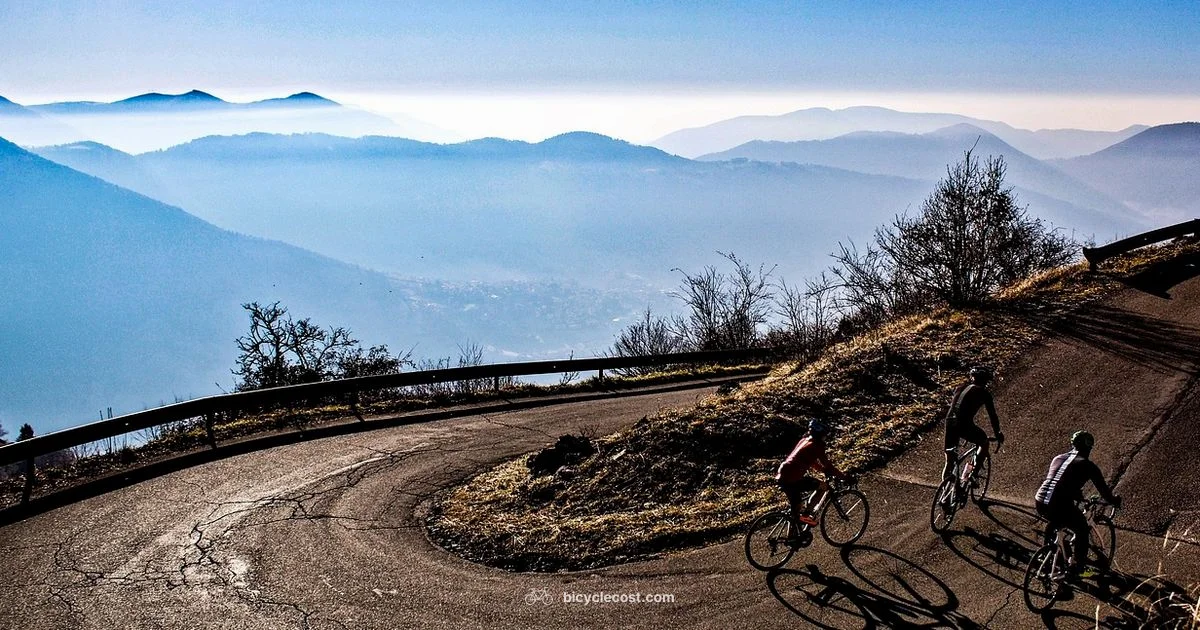 Best Bikes 2026 Guide - BicycleCost