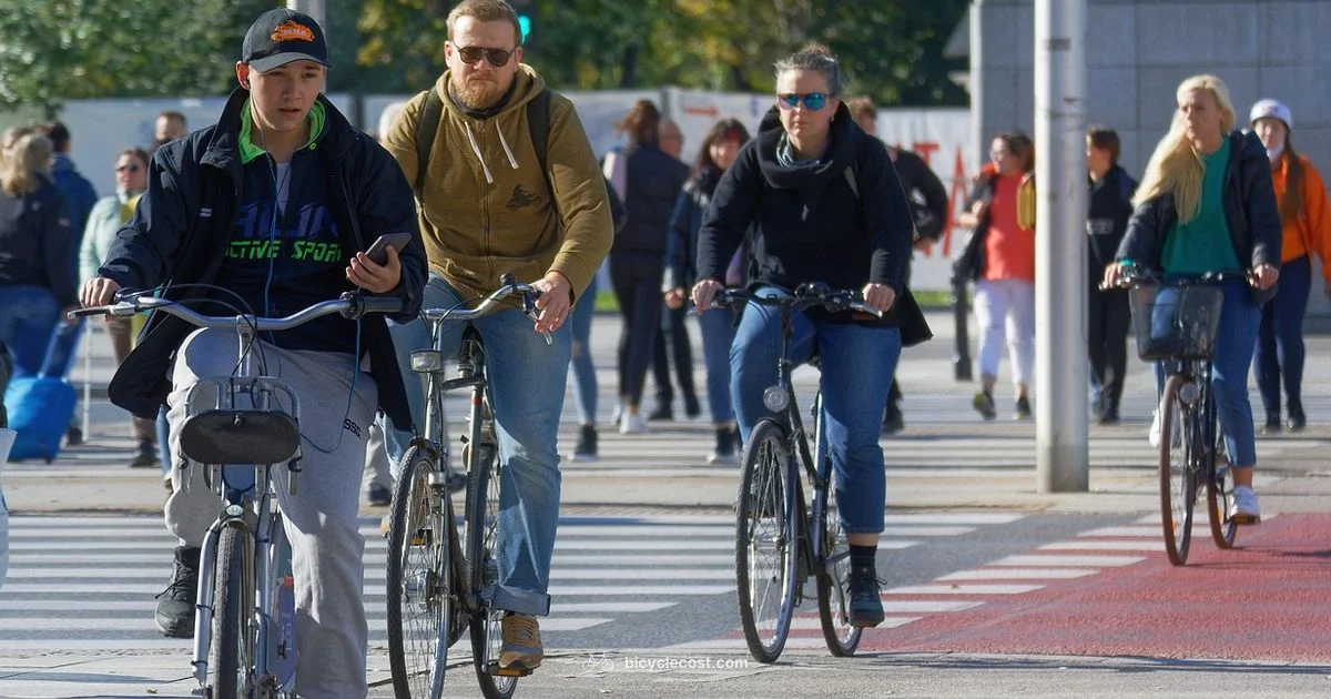 Crossing Smartly - BicycleCost