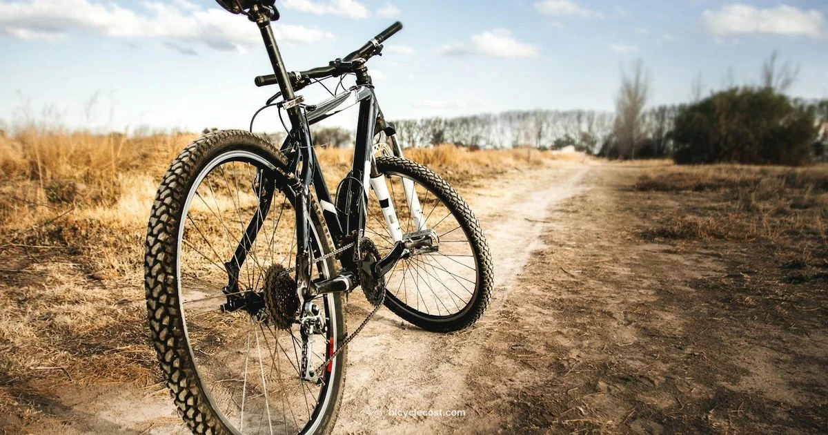 GT Mountain Bikes - BicycleCost