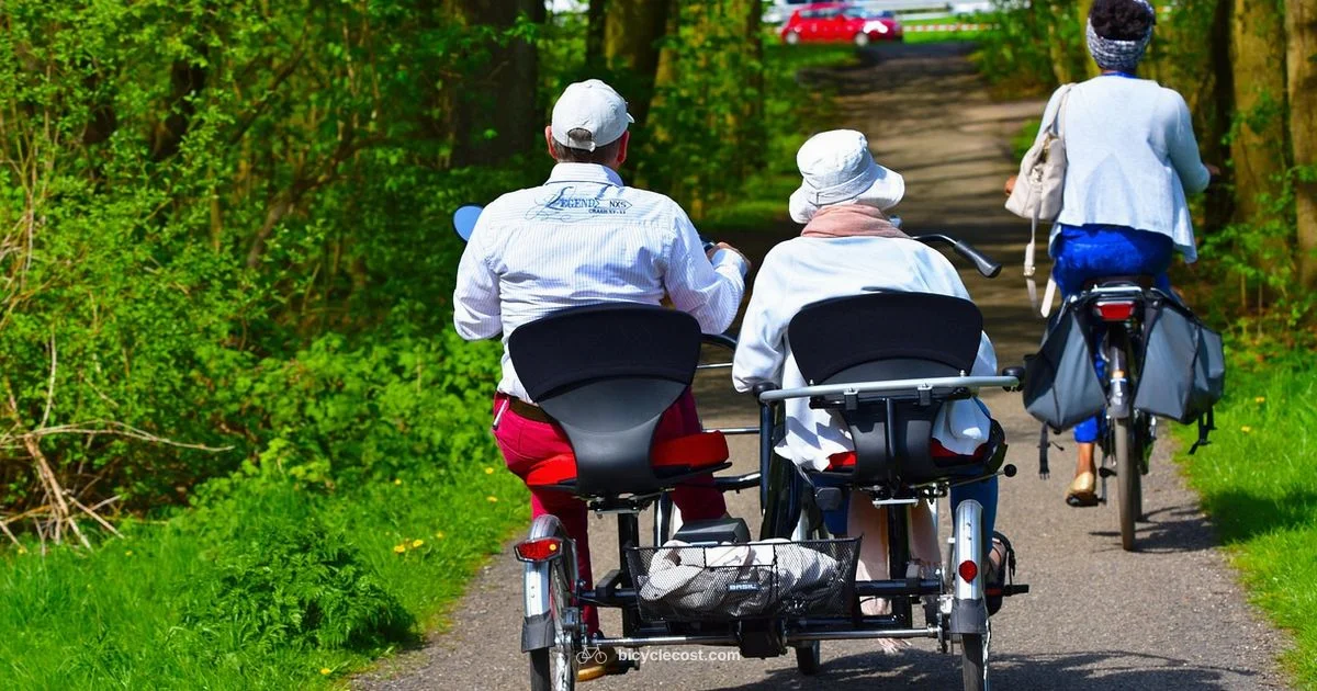 Adult Electric Trike Guide - BicycleCost