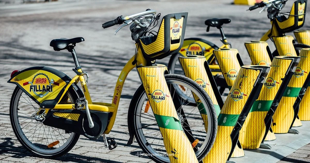 Carry Bike Safely - BicycleCost