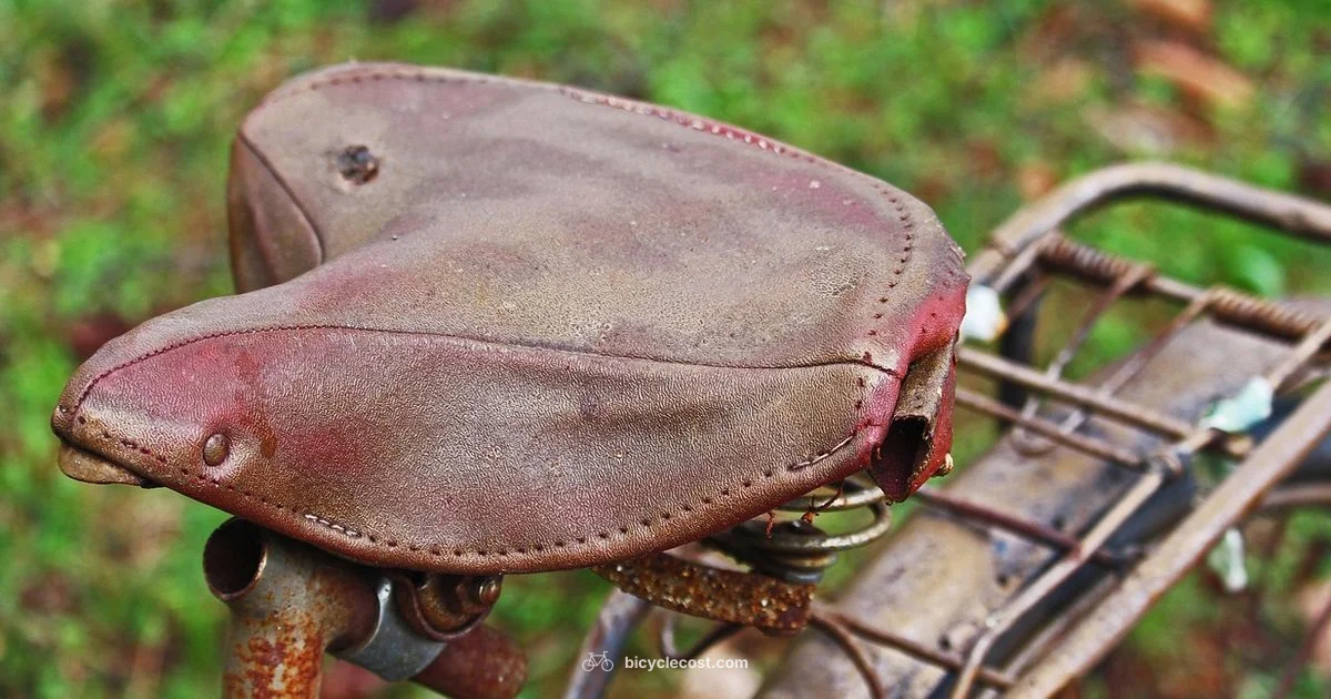 Salvage Yard Guide - BicycleCost