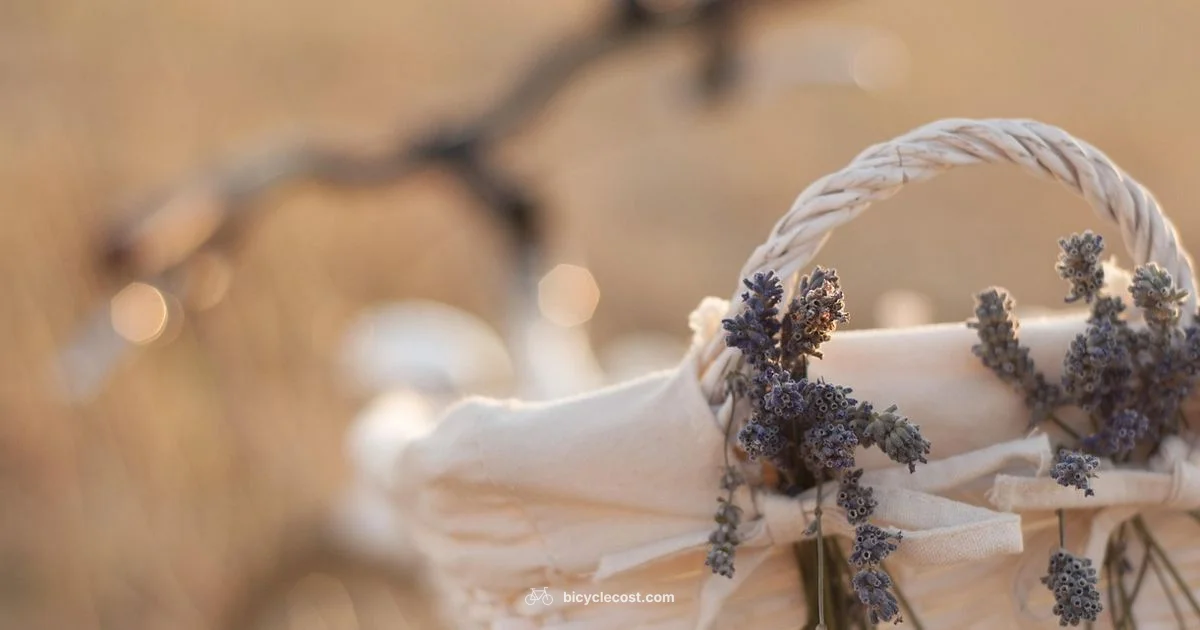 Cruiser Bike Essentials - BicycleCost