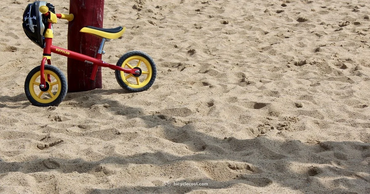 Pedal Free Guide - BicycleCost