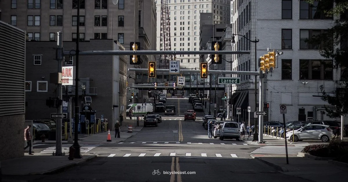 Motorized Bicycle Guide - BicycleCost