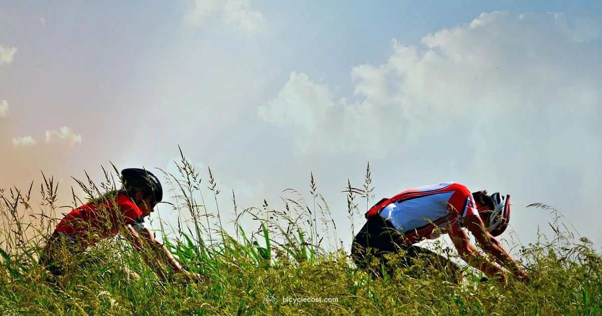 Cycles vs xstep - BicycleCost