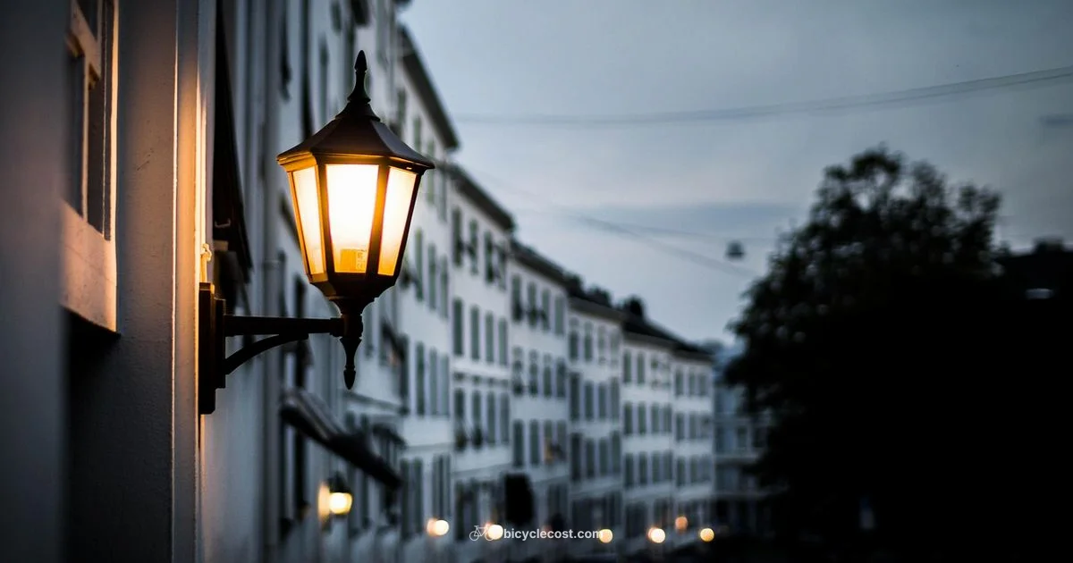 Fixed Wheel Buy Guide - BicycleCost