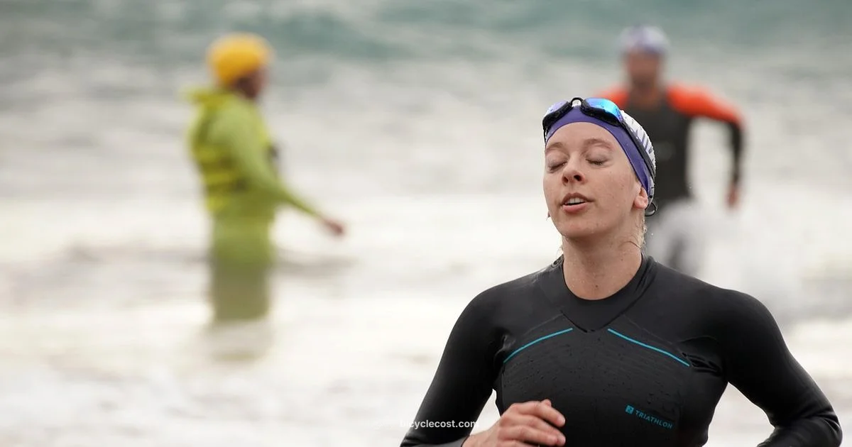 Triathlon Bike Guide Triathlon Bike Guide - BicycleCost