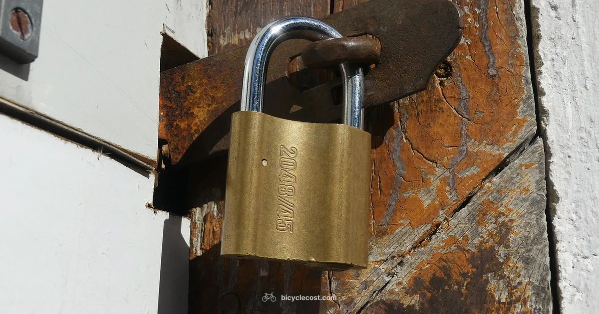 Protect Your Ride - BicycleCost