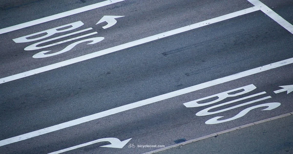 Bus Lane Access - BicycleCost