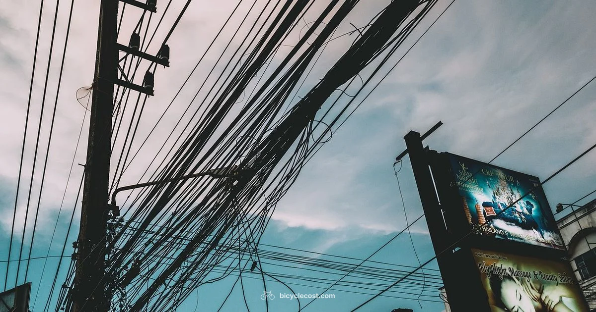 Smart Budget E-Bike - BicycleCost