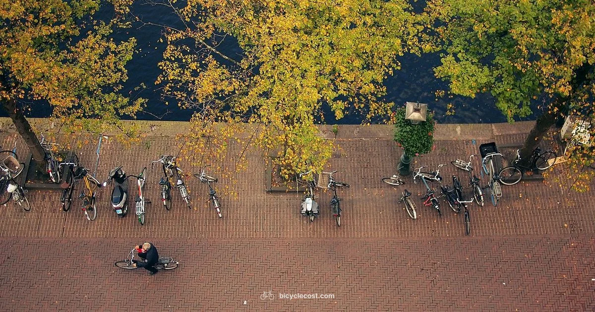 Nearby E Bikes - BicycleCost