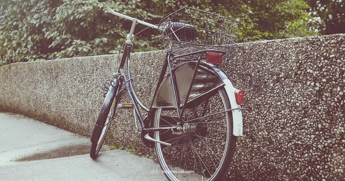 Tire Iron Essentials - BicycleCost