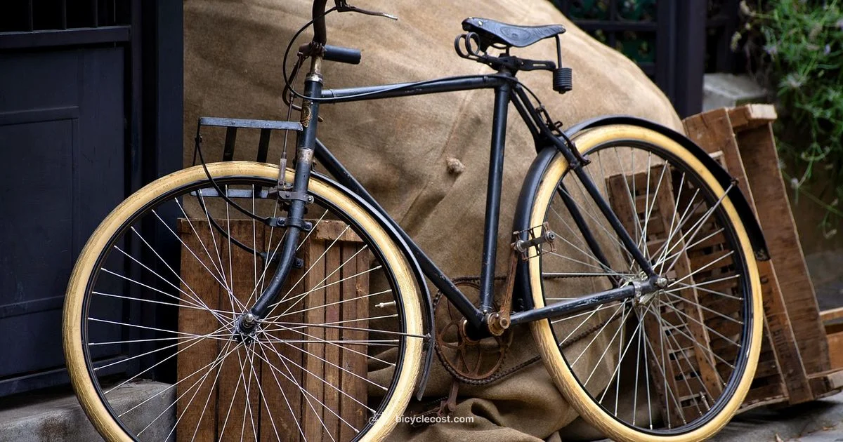 Bike Tune-Up Guide - BicycleCost