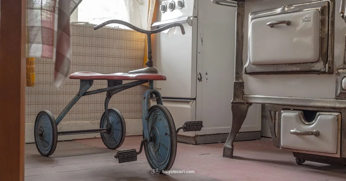 Bicycle vs Tricycle - BicycleCost