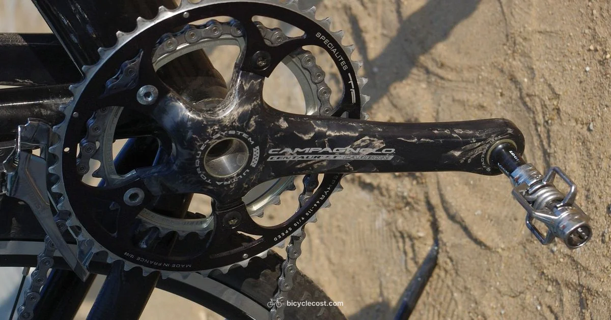 Rust-Proof Gears - BicycleCost