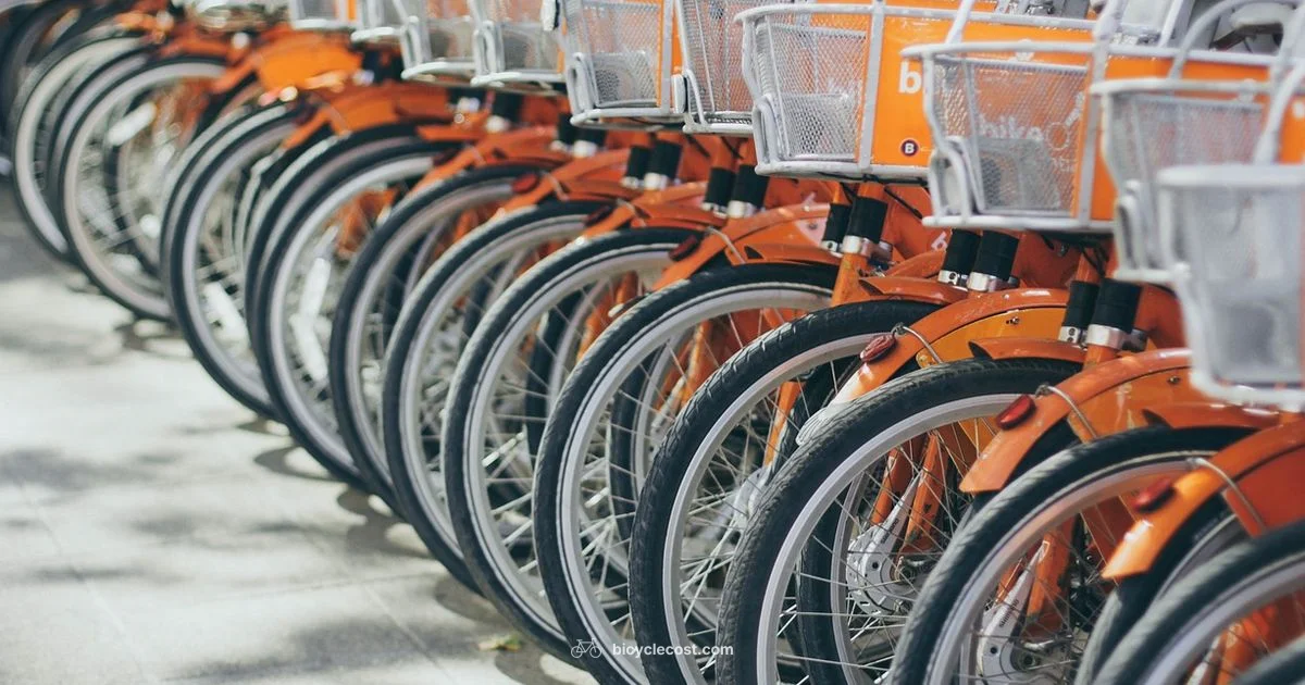 Basket on E-Bike - BicycleCost