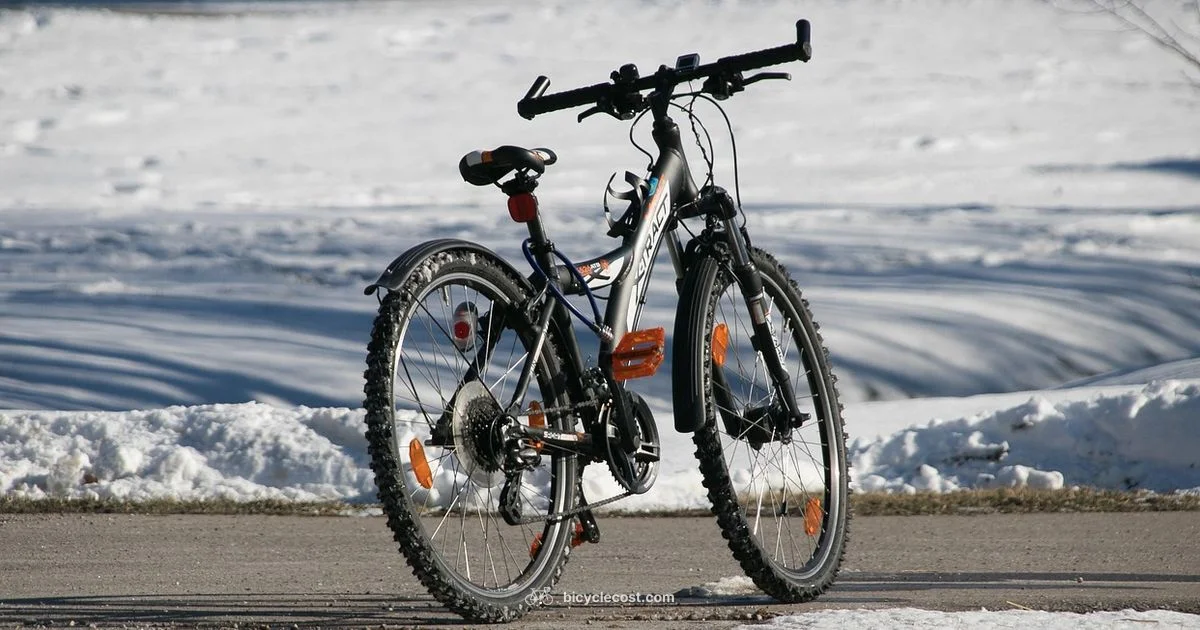 Electric Fat Bike Guide - BicycleCost
