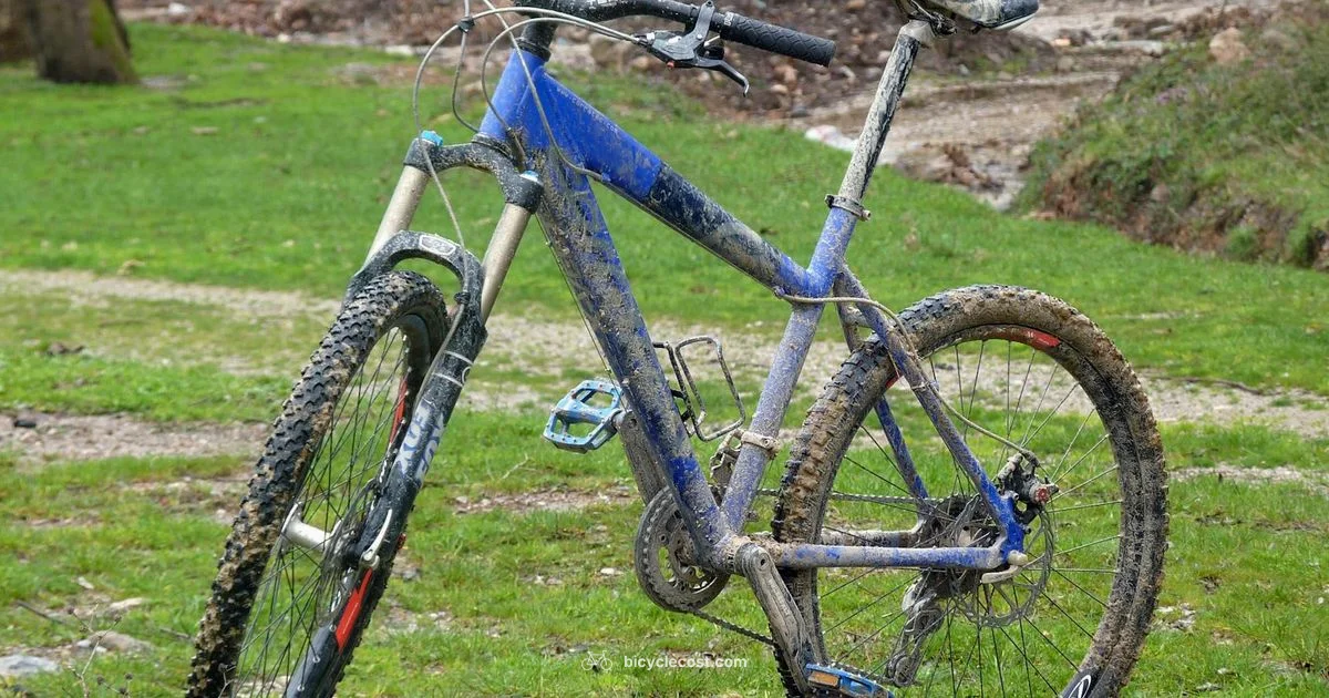Cube Mountain Bikes - BicycleCost