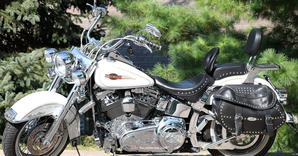 Training Wheels for Adults - BicycleCost