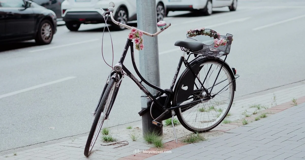 Flight Bike Packing - BicycleCost