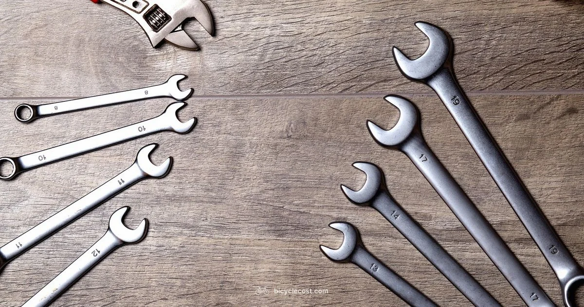 Patch Kit Essentials - BicycleCost