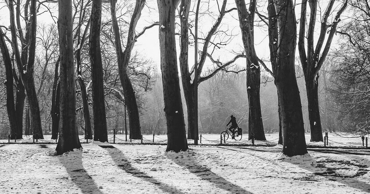 Winter Gear Guide - BicycleCost