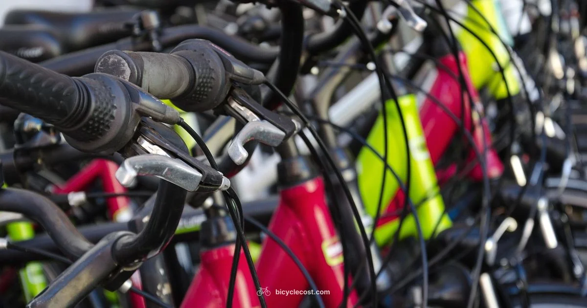 Shop Bicycle Online - BicycleCost