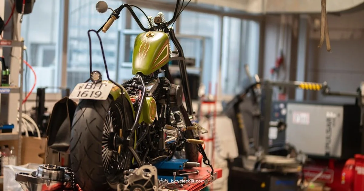 Bike Quick Shifter Guide - BicycleCost