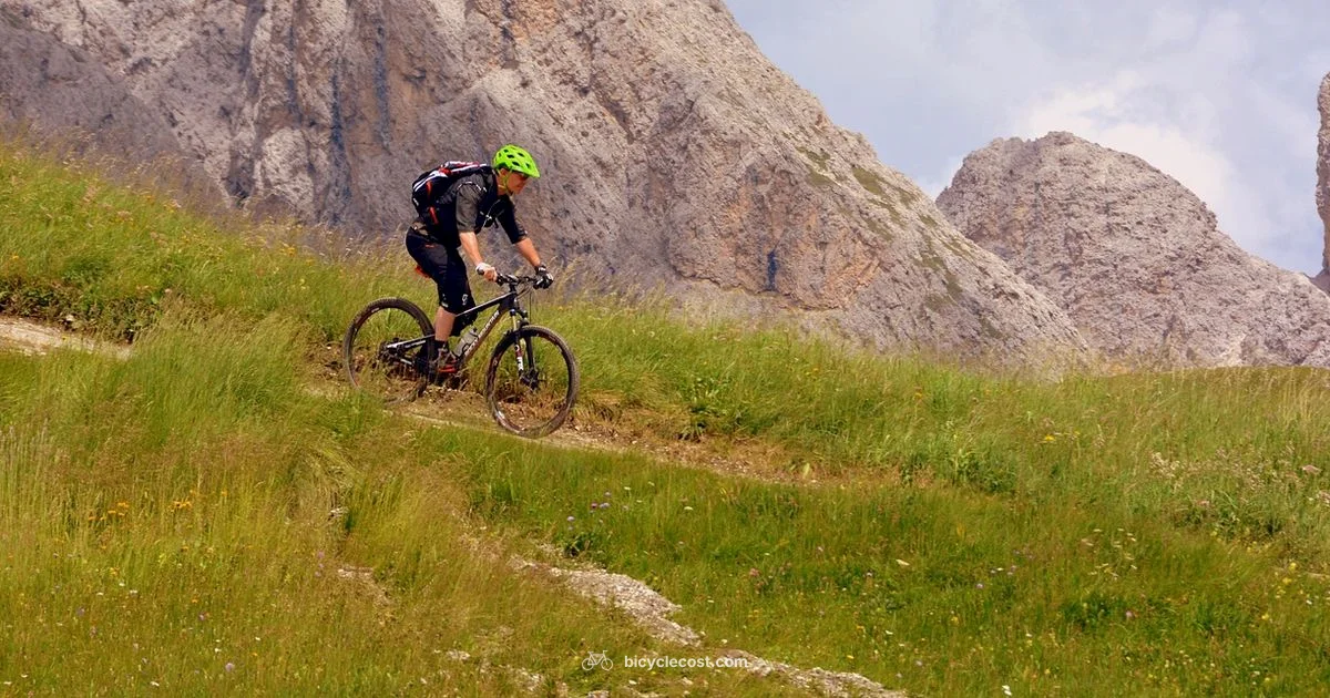 Off Road E Bike Guide - BicycleCost