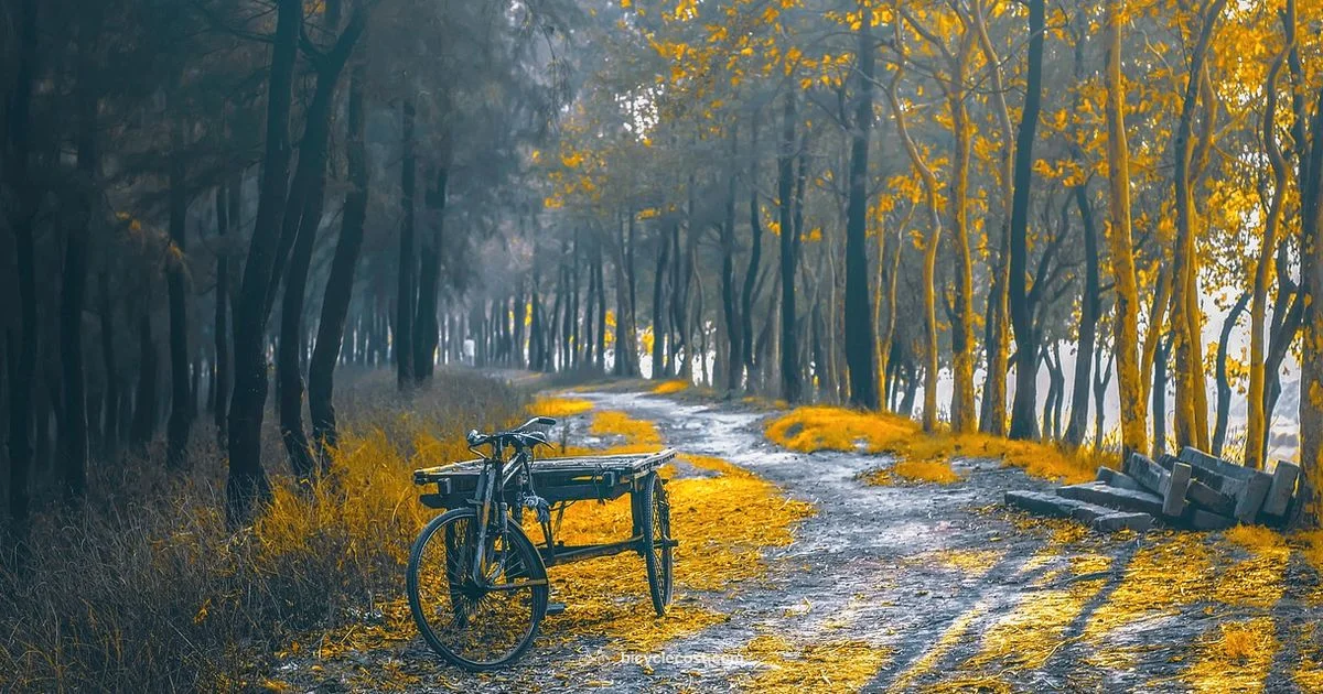 GT Bicycles Guide - BicycleCost