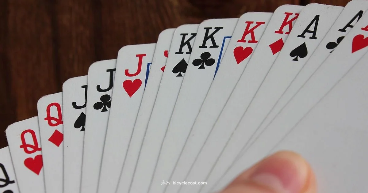 Bicycle Cards Material Bicycle Cards Material - BicycleCost